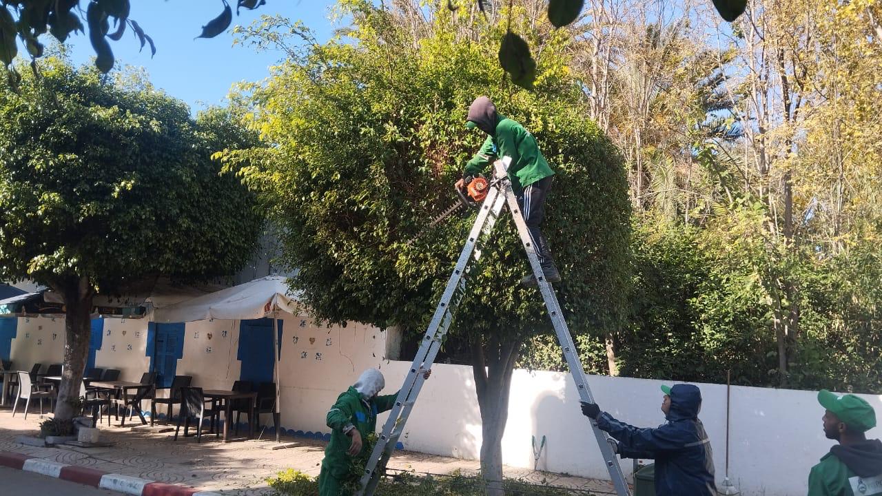 Réalisation IRRI POWER 20
