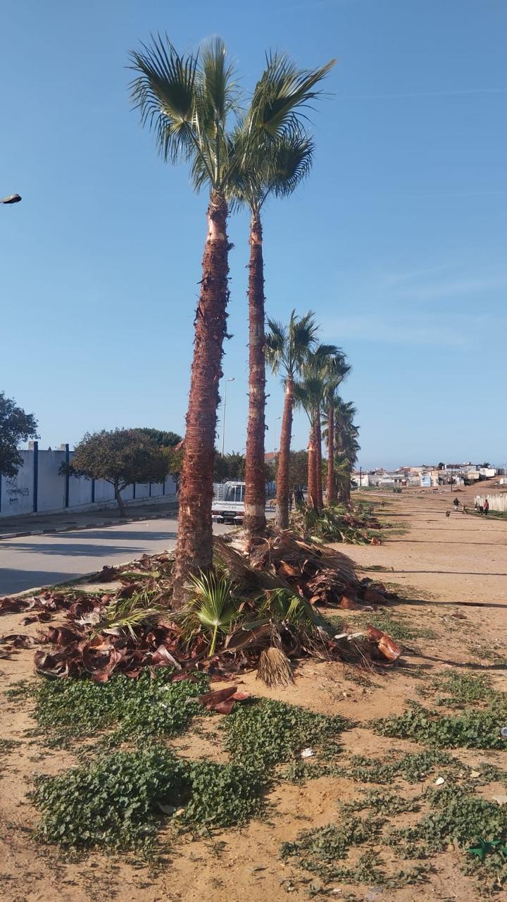 Réalisation IRRI POWER 22
