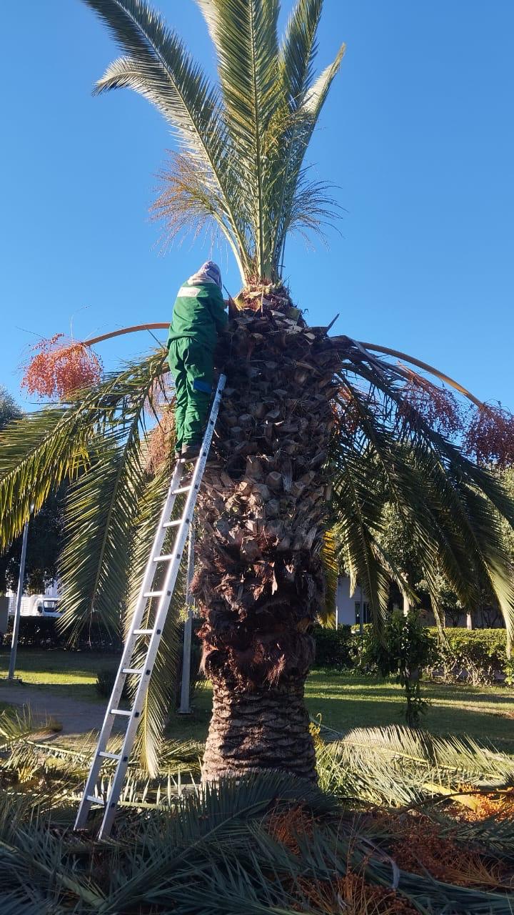 Maintenance Espaces Verts