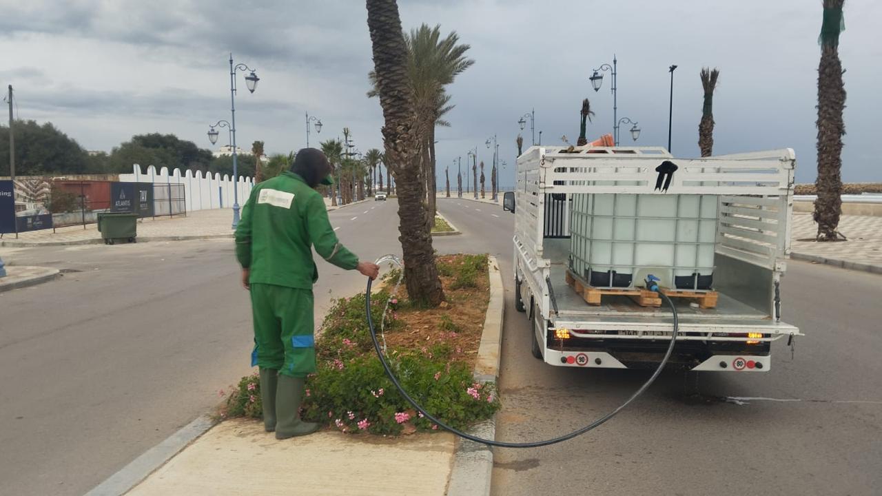 Irrigation manuelle des géraniums – Tanger