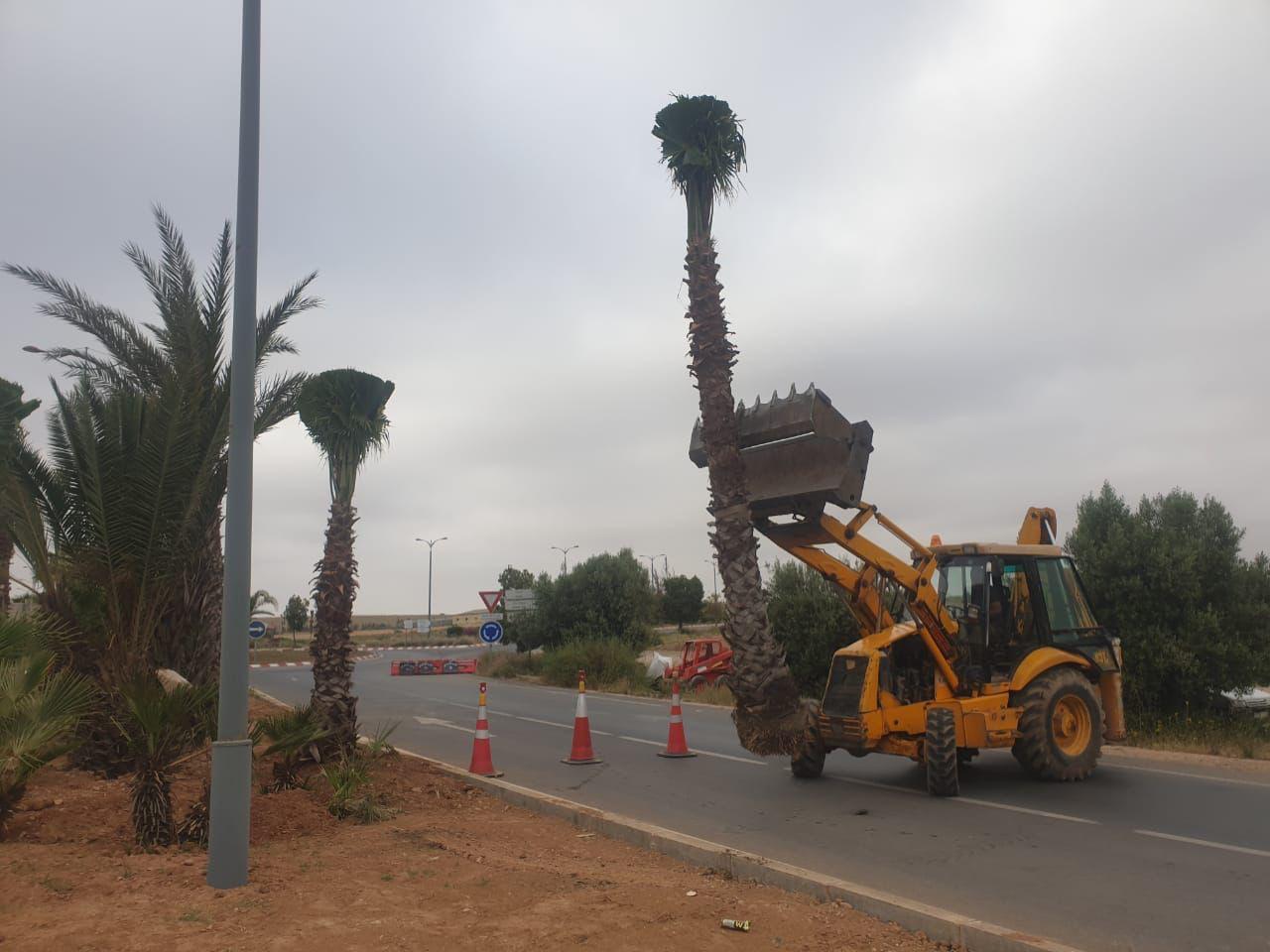 Réalisation IRRI POWER 32