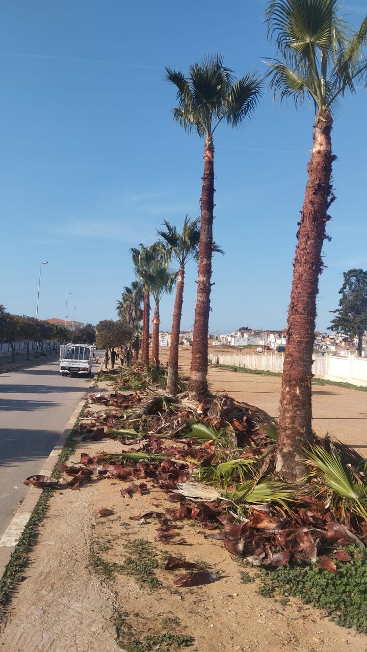 Réalisation IRRI POWER 35