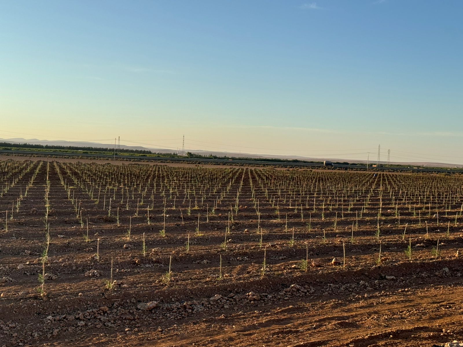 Réalisation IRRI POWER 58