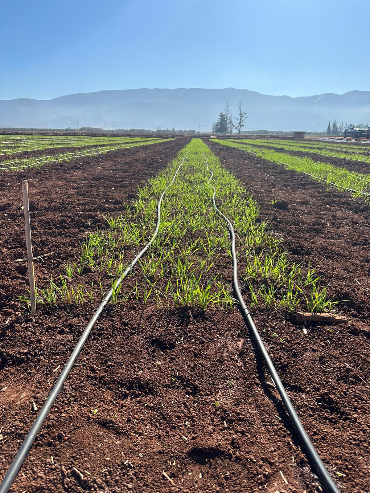 Réalisation IRRI POWER 67
