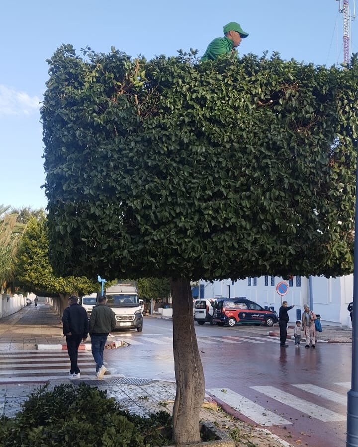 Maintenance Espaces Verts