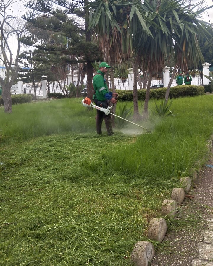 IRRI POWER