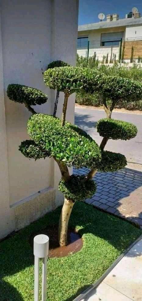 Agriculture durable
